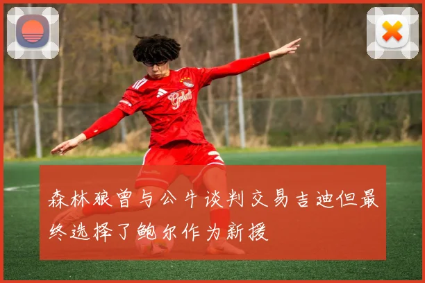 森林狼曾与公牛谈判交易吉迪但最终选择了鲍尔作为新援