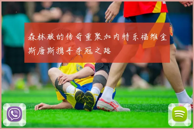 森林狼的传奇重聚加内特乐福维金斯唐斯携手夺冠之路